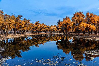 《刀剑神域 彼岸游境》DLC 